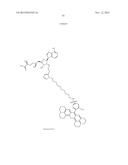 FLUORESCENT MOLECULAR PROBES FOR USE IN ASSAYS THAT MEASURE TEST COMPOUND     COMPETITIVE BINDING WITH SAM-UTILIZING PROTEINS diagram and image