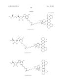 FLUORESCENT MOLECULAR PROBES FOR USE IN ASSAYS THAT MEASURE TEST COMPOUND     COMPETITIVE BINDING WITH SAM-UTILIZING PROTEINS diagram and image