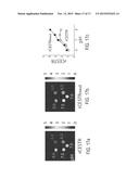 System and Method for Measuring pH Using Magnetic Resonance diagram and image