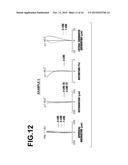 PROJECTION LENS AND PROJECTION DISPLAY APPARATUS diagram and image