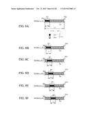 REFLECTION DETECTION APPARATUS AND APPARATUS USING THE SAME diagram and image