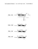 REFLECTION DETECTION APPARATUS AND APPARATUS USING THE SAME diagram and image