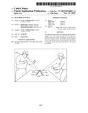 DUAL DISPLAY SYSTEM diagram and image