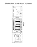 PAIN SURVEYING AND VISUALIZATION IN A HUMAN BODILY REGION diagram and image