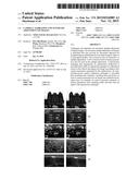 Camera Calibration and Automatic Adjustment of Images diagram and image