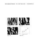 HIGH EFFICIENCY BROADBAND SEMICONDUCTOR NANOWIRE DEVICES diagram and image