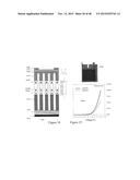 HIGH EFFICIENCY BROADBAND SEMICONDUCTOR NANOWIRE DEVICES diagram and image