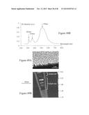 HIGH EFFICIENCY BROADBAND SEMICONDUCTOR NANOWIRE DEVICES diagram and image