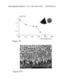 HIGH EFFICIENCY BROADBAND SEMICONDUCTOR NANOWIRE DEVICES diagram and image