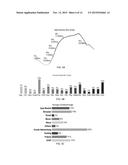 NETWORK USAGE MONITORING AND ANALYTICS FOR DIFFERENTIATED DATA SERVICES diagram and image