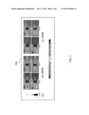 METHODS, SYSTEMS, AND COMPUTER READABLE MEDIA FOR SOURCE AND LISTENER     DIRECTIVITY FOR INTERACTIVE WAVE-BASED SOUND PROPAGATION diagram and image