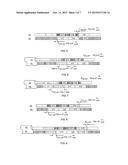 GUARD PERIOD CONFIGURATION FOR LTE HD-FDD diagram and image