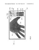 APPARATUS AND METHOD FOR IMAGING VASCULATURE AND SUB-DERMAL STRUCTURES BY     TRANS-ILLUMINATING NIR LIGHT diagram and image