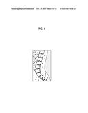 BODY MOTION DISPLAY DEVICE AND BODY MOTION DISPLAY METHOD diagram and image