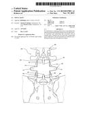 SPINAL GRAFT diagram and image