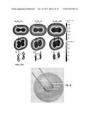 TREATMENT PLANNING FOR ELECTROPORATION-BASED THERAPIES diagram and image