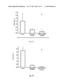 POLYMERIC PARTICLES-BASED TEMOZOLOMIDE DOSAGE FORM diagram and image