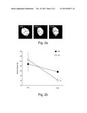 SYNERGISTIC THERAPIES OF CANNABIDIOL WITH HYPOTHERMIA FOR NEUROPROTECTION diagram and image