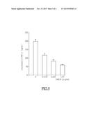 PHARMACEUTICAL COMPOSITION AND USE FOR APPLYING     7,7  -DIMETHOXYAGASTISFLAVONE IN INHIBITING TUMOR METASTASIS diagram and image