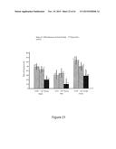 LOWER DOSAGE STRENGTH IMIQUIMOD FORMULATIONS AND SHORT DOSING REGIMENS FOR     TREATING GENITAL AND PERIANAL WARTS diagram and image