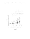 COMBINATIONAL COMPOSITIONS AND METHODS FOR TREATMENT OF CANCER diagram and image