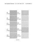 COMPOSITIONS AND METHODS FOR TREATING RETINAL DISEASES diagram and image