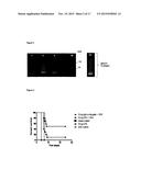 GLYCOCONJUGATE VACCINES diagram and image