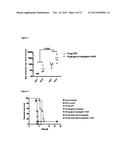 GLYCOCONJUGATE VACCINES diagram and image