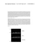 GLYCOCONJUGATE VACCINES diagram and image