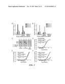 Methods and Compositions for Dengue Virus Epitopes diagram and image