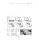 Methods and Compositions for Dengue Virus Epitopes diagram and image