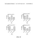 Methods and Compositions for Dengue Virus Epitopes diagram and image