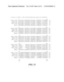 Methods and Compositions for Dengue Virus Epitopes diagram and image