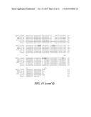 Methods and Compositions for Dengue Virus Epitopes diagram and image