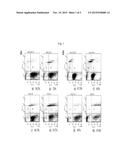 NANOPARTICLE-ASSISTED ULTRASOUND FOR BREAST CANCER THERAPY diagram and image