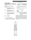 Micro Blood Vessels and Tissue Ducts diagram and image