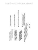 Micro Blood Vessels and Tissue Ducts diagram and image