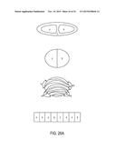 Micro Blood Vessels and Tissue Ducts diagram and image