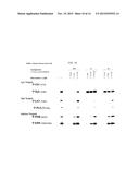 2,4-PYRIMIDINEDIAMINE COMPOUNDS AND THEIR USES diagram and image