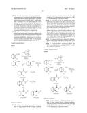 COMPOUNDS AND COMPOSITIONS FOR INDUCING CHONDROGENESIS diagram and image