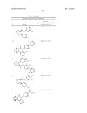 COMPOUNDS AND COMPOSITIONS FOR INDUCING CHONDROGENESIS diagram and image