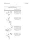 COMPOUNDS AND COMPOSITIONS FOR INDUCING CHONDROGENESIS diagram and image