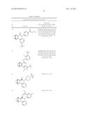 COMPOUNDS AND COMPOSITIONS FOR INDUCING CHONDROGENESIS diagram and image