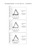 ALL GOLD FLUORESCENCE RESONANCE ENERGY TRANSFER PROBE AND USE THEREOF diagram and image