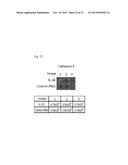 ALL GOLD FLUORESCENCE RESONANCE ENERGY TRANSFER PROBE AND USE THEREOF diagram and image