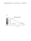 ALL GOLD FLUORESCENCE RESONANCE ENERGY TRANSFER PROBE AND USE THEREOF diagram and image