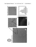 PIGMENT STRUCTURES, PIGMENT GRANULES, PIGMENT PROTEINS, AND USES THEREOF diagram and image