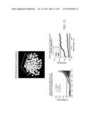 PIGMENT STRUCTURES, PIGMENT GRANULES, PIGMENT PROTEINS, AND USES THEREOF diagram and image