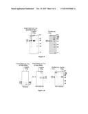 METHOD FOR PREPARING C1Q RECOMBINANT PROTEIN diagram and image