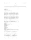 STABILIZED INSULIN-LIKE GROWTH FACTOR POLYPEPTIDES diagram and image